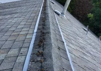Gutter Cleaning Company