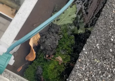 Gutter Cleaning Company