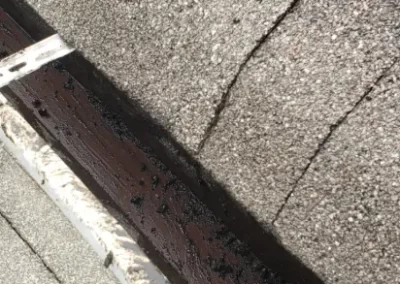 Gutter Cleaning Company