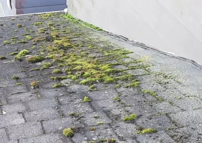 Gutter Cleaning Company