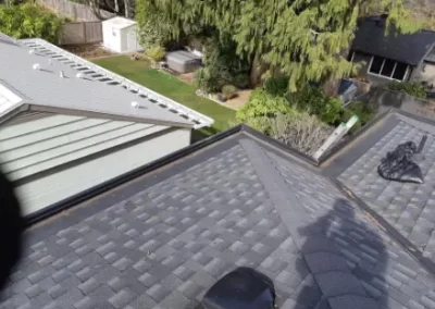 Professional Gutter Cleaning Service