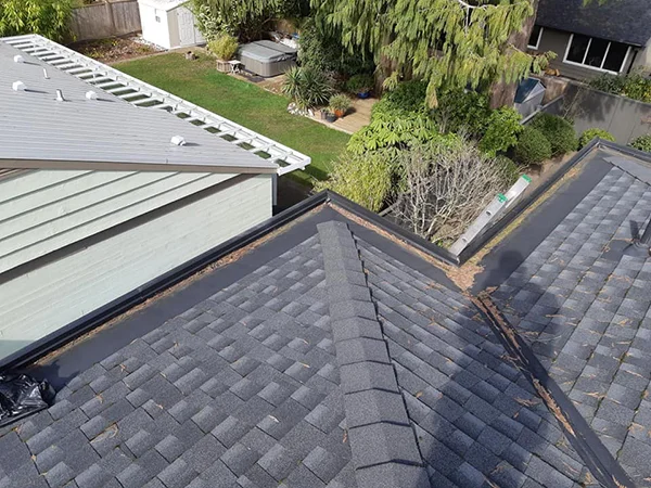 Reliable Gutter Cleaner in Surrey, BC Reliable Gutter Cleaner in Surrey, BC