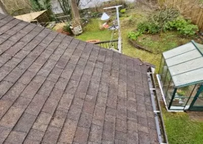Exterior Gutter Cleaning