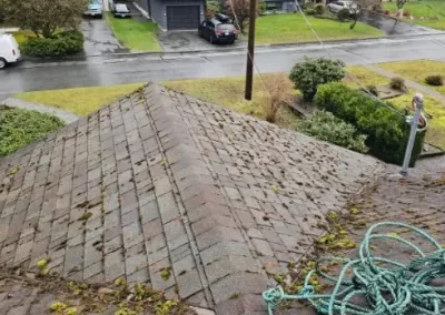 Quality Roof Cleaning