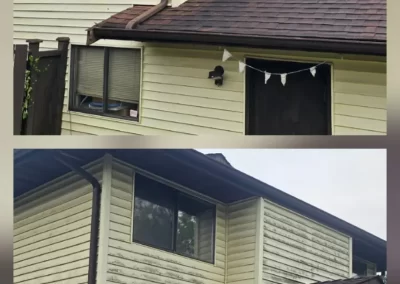 Expert Roof Gutter Cleaning