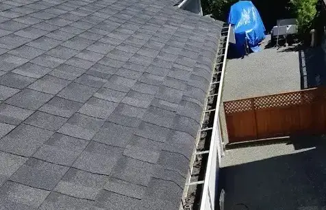Exterior Gutter Cleaning