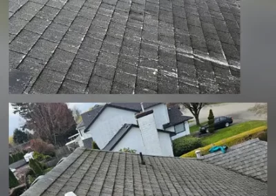 Professional Roof Cleaning Service