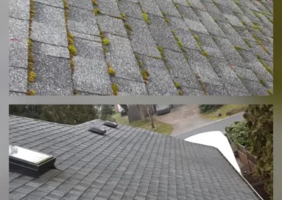 Reliable Roof Cleaning Service