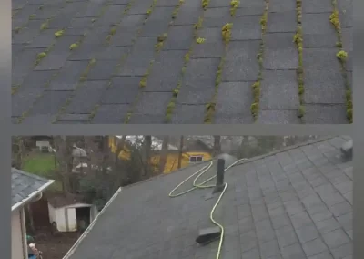 Roof Cleaning